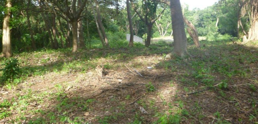 Terreno en venta en Intermezzo del Bosque – Mananagua