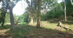 Terreno en venta en Intermezzo del Bosque – Mananagua