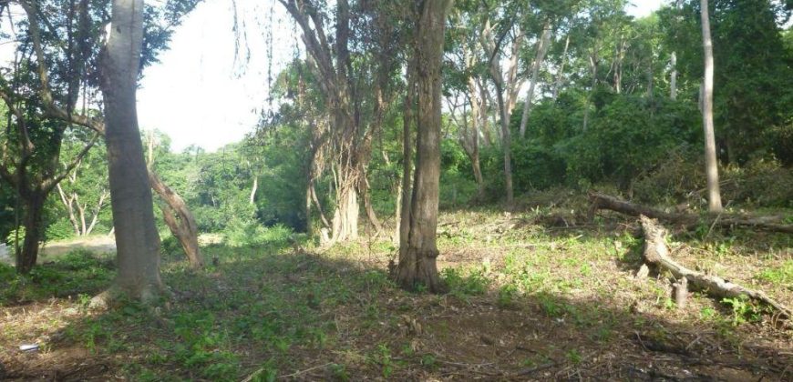 Terreno en venta en Intermezzo del Bosque – Mananagua