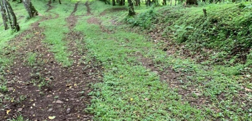 Finca en Venta en Comarca El Tule y Sacal, Boaco