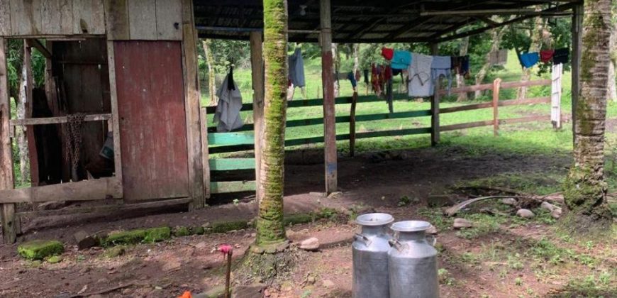 Finca en Venta en Comarca El Tule y Sacal, Boaco