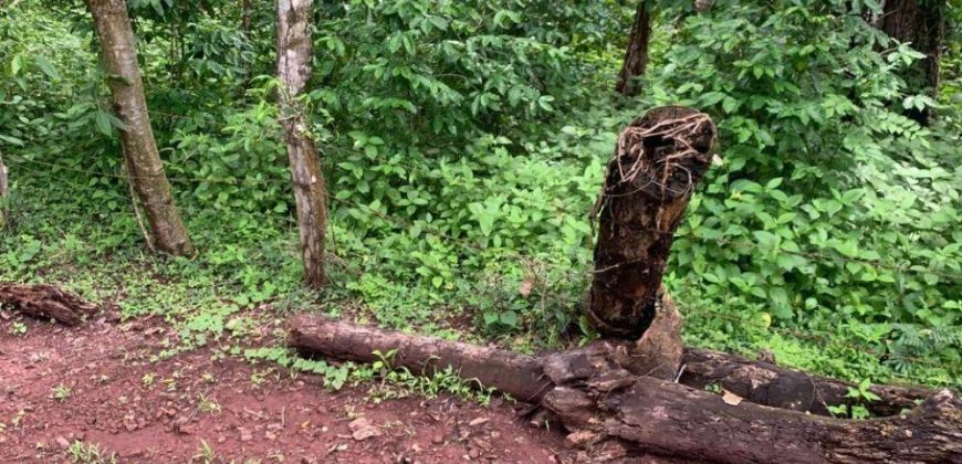 Finca en Venta en Comarca El Tule y Sacal, Boaco