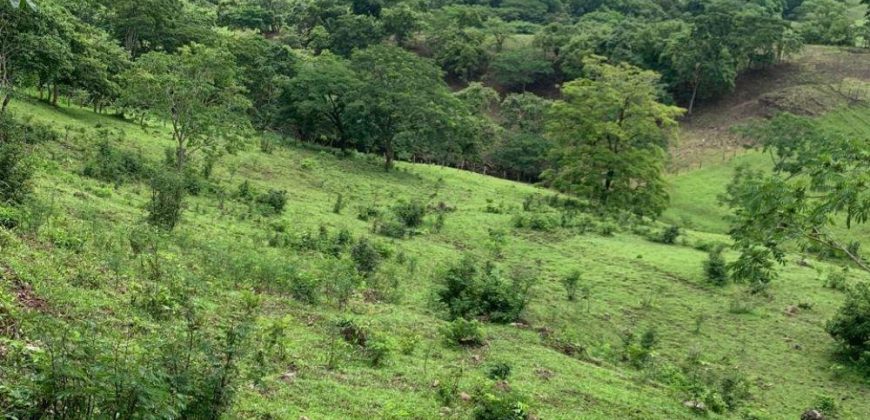 Finca en Venta en Comarca El Tule y Sacal, Boaco