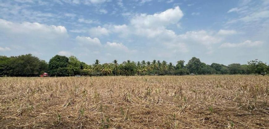 Venta de Terreno en León – Frente a Carretera Panamericana