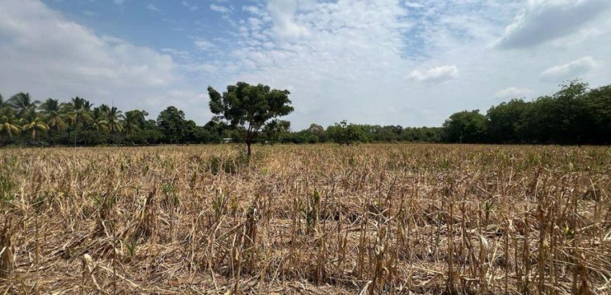 Venta de Terreno en León – Frente a Carretera Panamericana