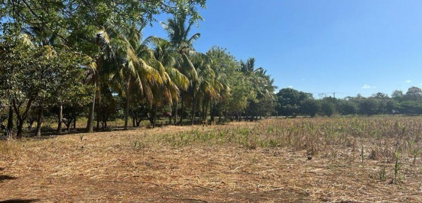 Venta de Terreno en León – Frente a Carretera Panamericana