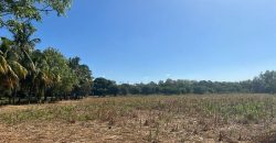 Venta de Terreno en León – Frente a Carretera Panamericana