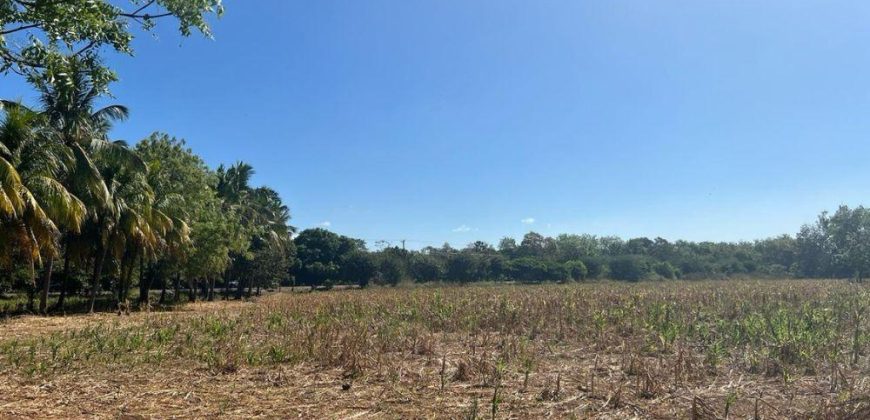 Venta de Terreno en León – Frente a Carretera Panamericana