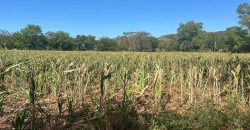 Venta de Terreno en León – Frente a Carretera Panamericana