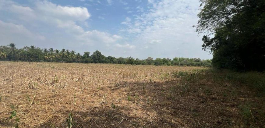 Venta de Terreno en León – Frente a Carretera Panamericana