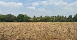 Venta de Terreno en León – Frente a Carretera Panamericana