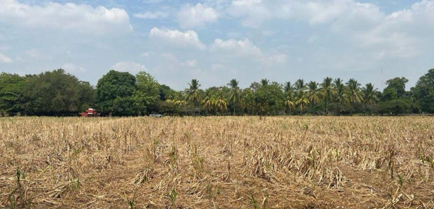 Venta de Terreno en León – Frente a Carretera Panamericana