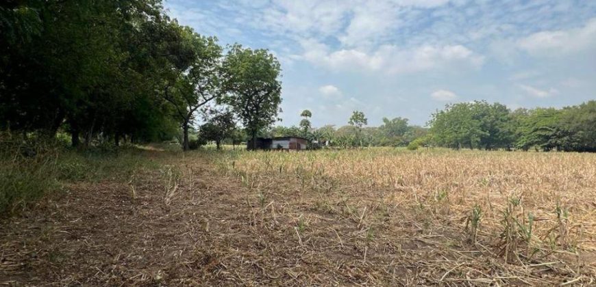 Venta de Terreno en León – Frente a Carretera Panamericana