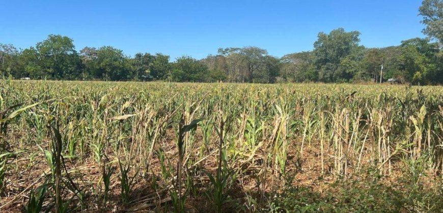 Venta de Terreno en León – Frente a Carretera Panamericana