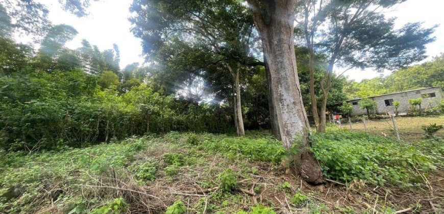 Terreno en Venta en Carretera Masaya por Casa España