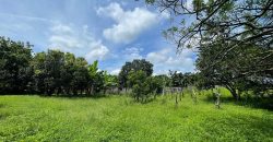 Terreno en Venta en Veracruz, Nindirí – Residencial Eucalipto