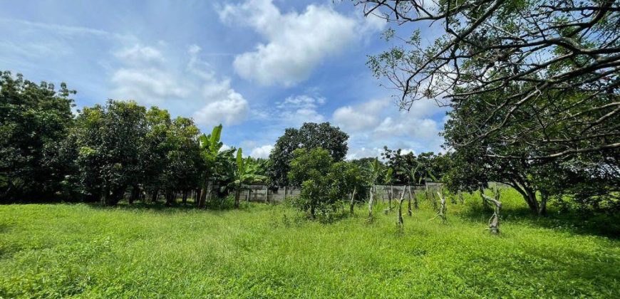 Terreno en Venta en Veracruz, Nindirí – Residencial Eucalipto