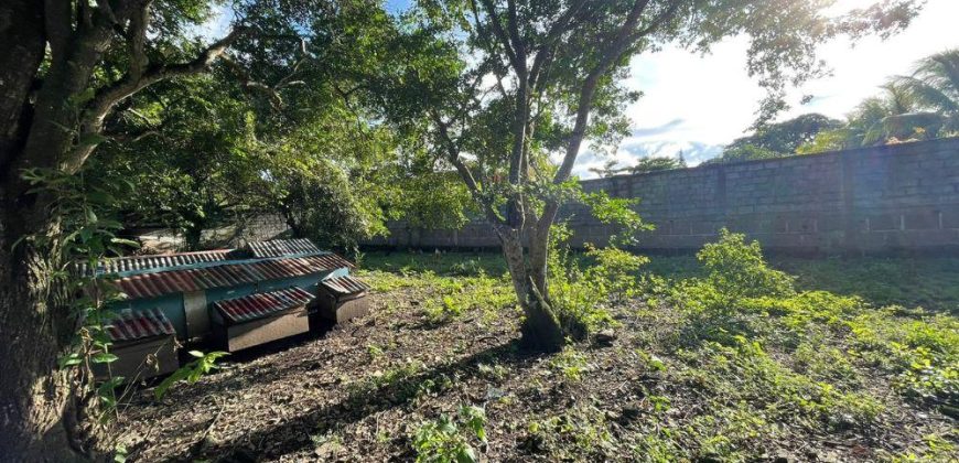 Terreno en Venta en Los Limones, Boaco – Amplio, Seguro y Listo para Construir