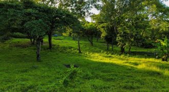 Terreno en Venta en San Isidro de la Cruz Verde Managua