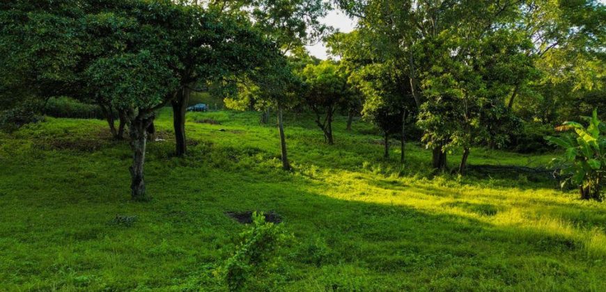 Terreno en Venta en San Isidro de la Cruz Verde Managua