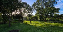 Terreno en Venta en San Isidro de la Cruz Verde Managua