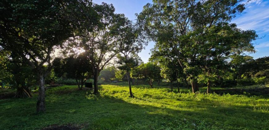 Terreno en Venta en San Isidro de la Cruz Verde Managua