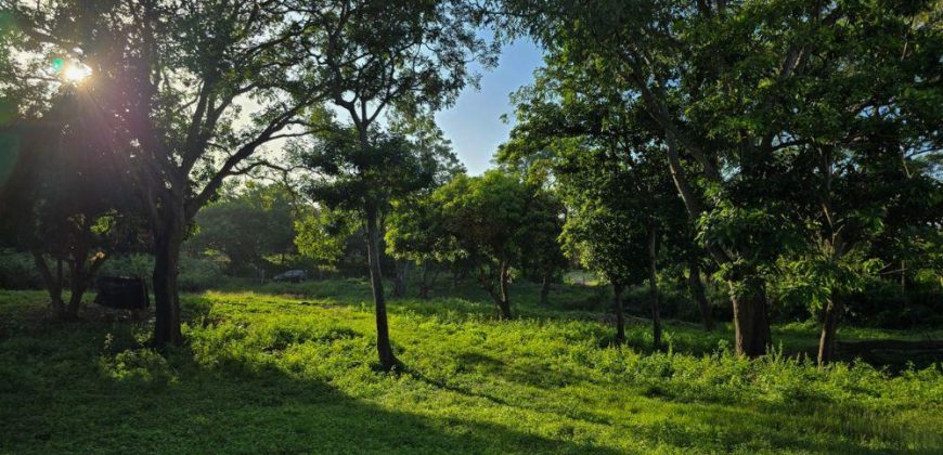 Terreno en Venta en San Isidro de la Cruz Verde Managua