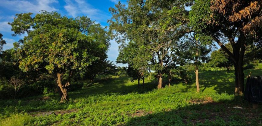 Terreno en Venta en San Isidro de la Cruz Verde Managua