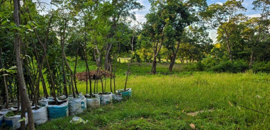 Terreno en Venta en San Isidro de la Cruz Verde Managua