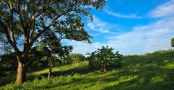 Terreno en Venta en San Isidro de la Cruz Verde Managua