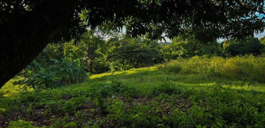 Terreno en Venta en San Isidro de la Cruz Verde Managua