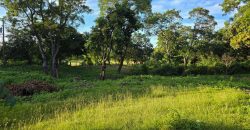 Terreno en Venta en San Isidro de la Cruz Verde Managua