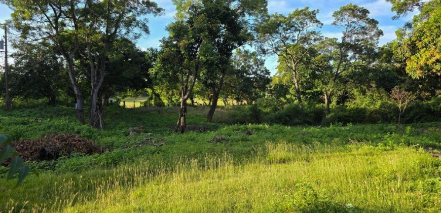 Terreno en Venta en San Isidro de la Cruz Verde Managua