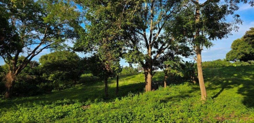 Terreno en Venta en San Isidro de la Cruz Verde Managua