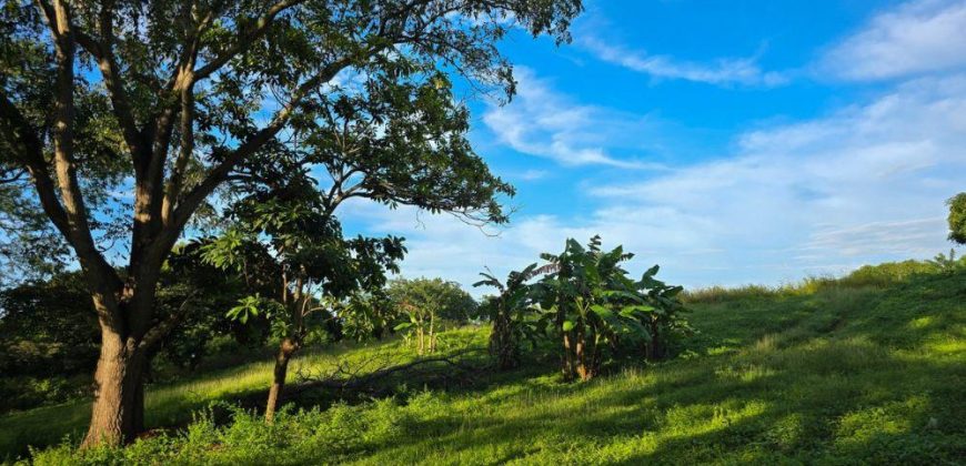 Terreno en Venta en San Isidro de la Cruz Verde Managua