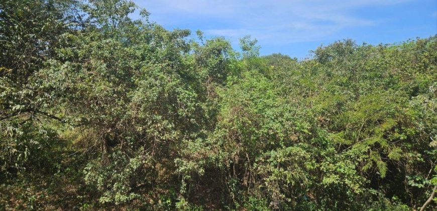 Se Vende Terreno Comercial Km 13.9 Carretera Masaya