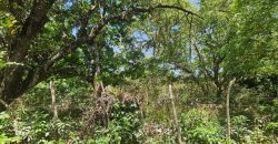 Se Vende Terreno Comercial Km 13.9 Carretera Masaya