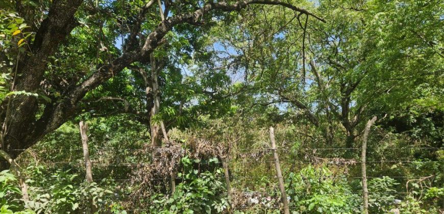 Se Vende Terreno Comercial Km 13.9 Carretera Masaya